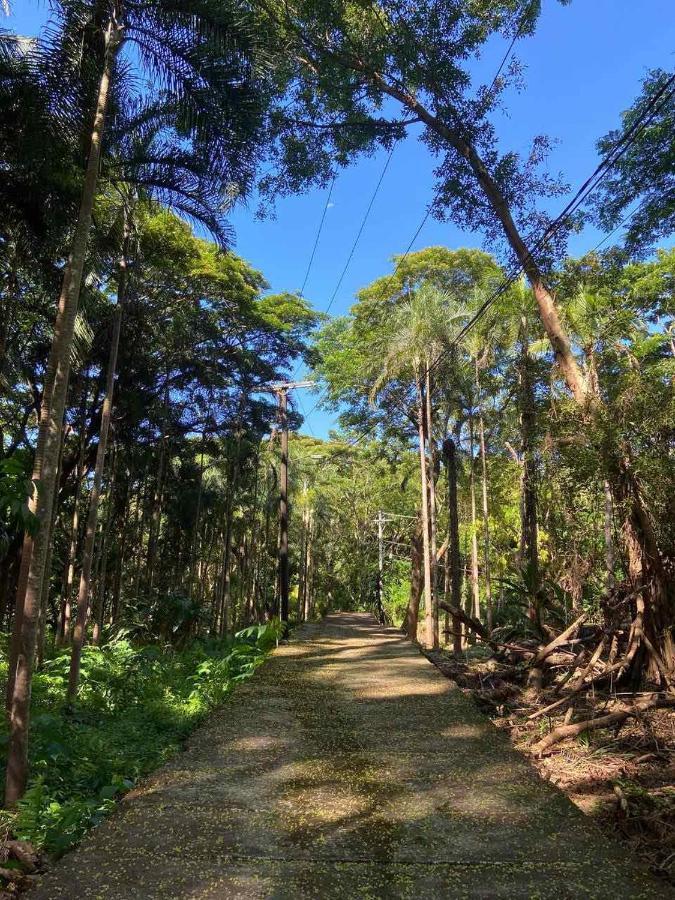 Momarco Forest Cove Танай Экстерьер фото